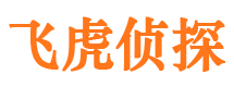 东方市私家调查